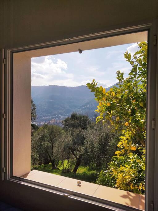 Bas De Villa. Cote D'Azur, A 20 Kms De Nice Конт Экстерьер фото